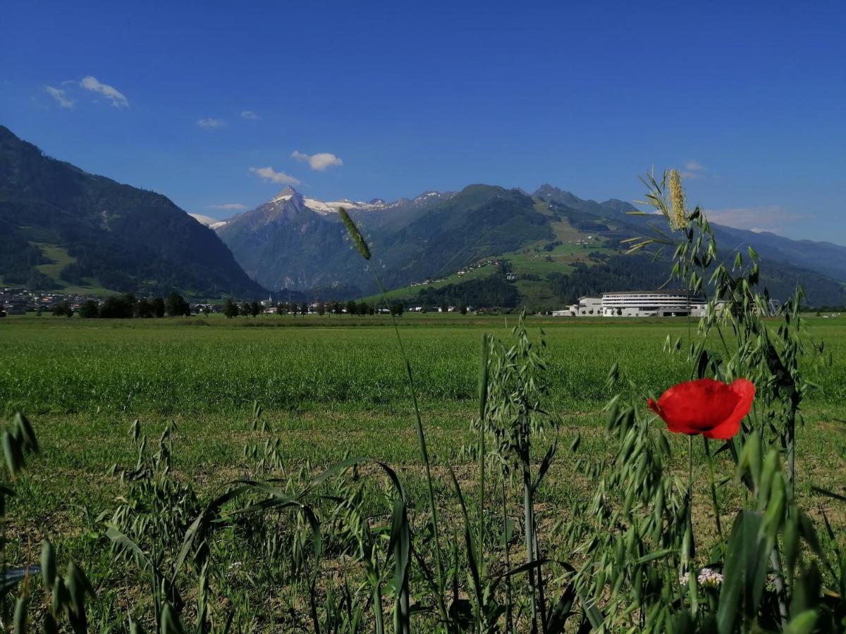 Alm Appartements Zellamsee Zell am See Kültér fotó